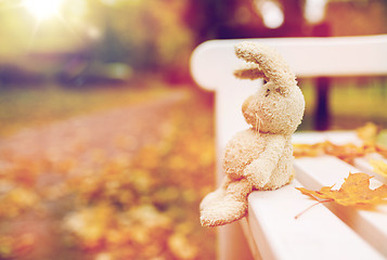 Image showing toy rabbit on bench in autumn park