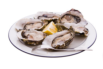 Image showing Oysters, Lemon and Fork