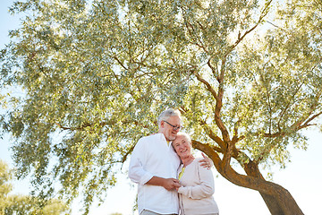 Image showing happy senior couple hugging at summer park