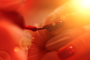 Image showing Woman hands receiving a manicure