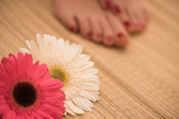 Image showing female feet and hands at spa salon