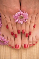 Image showing female feet and hands at spa salon