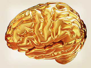 Image showing Gold brain. 3d render. Vintage style.