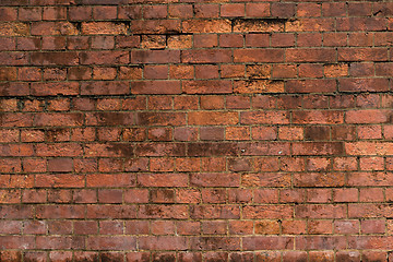 Image showing Brick wall texture in red