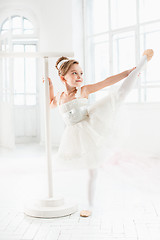 Image showing Little ballerina girl in a tutu. Adorable child dancing classical ballet in a white studio.