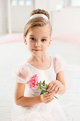 Image showing The little balerina in white tutu in class at the ballet school