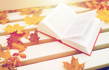 Image showing open book on bench in autumn park