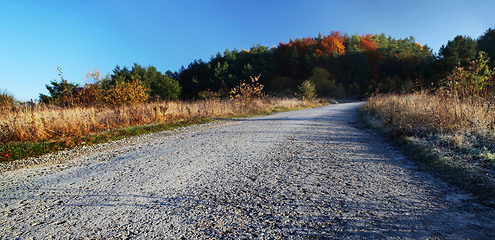 Image showing countryside road in autumn day