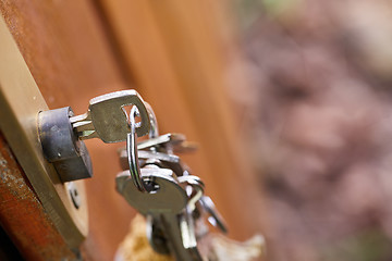 Image showing Open garden gate with key