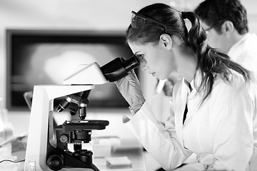 Image showing Life scientist researching in the laboratory.