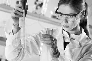 Image showing Young scientist pipetting in life science laboratory.