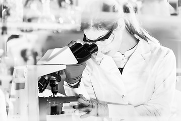 Image showing Female health care researchers working in scientific laboratory.