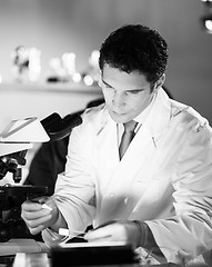 Image showing Life scientist researching in the laboratory.