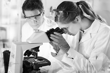 Image showing Life scientist researching in the laboratory.