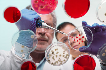 Image showing Life scientists researching in the health care laboratory.