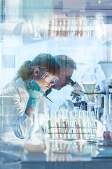 Image showing Health care researchers working in scientific laboratory.