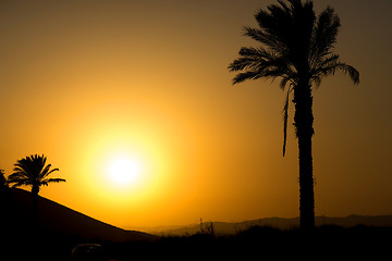 Image showing Golden Andalusian sunset