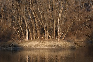 Image showing Lakeside autumn landscape