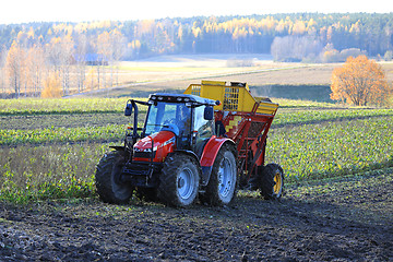 Image showing Harvesting Sugar Beet in Autumn