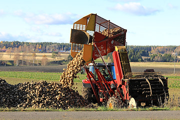 Image showing Farmer Unloads Sugar Beet Harvester Tank