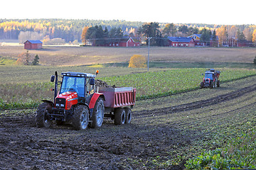 Image showing Sugar Beet Harvest in October