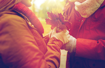 Image showing close up of happy couple with autumn maple leaves