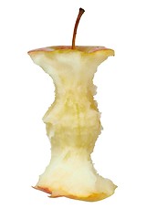 Image showing Apple core on white