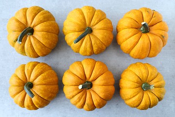 Image showing Pumpkins.