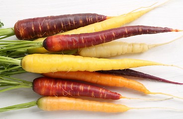 Image showing Carrots.