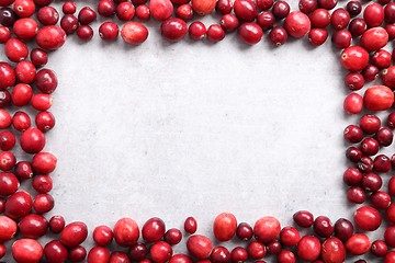 Image showing Cranberries.