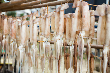 Image showing Dried squid hanging on the stand