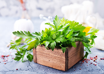 Image showing fresh parsley