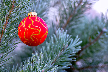 Image showing The branches of Christmas trees, toy