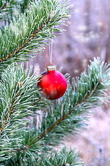 Image showing The branches of Christmas trees, toy