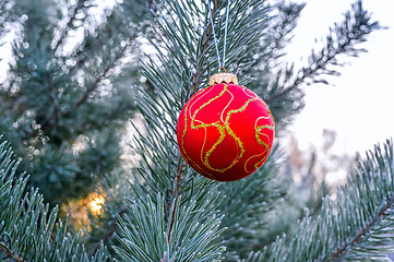 Image showing The branches of Christmas trees, toy