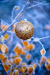 Image showing The branches of Christmas trees, toy