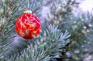 Image showing New Year's ball hanging on a branch of a Christmas tree in the forest