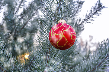 Image showing New Year's ball hanging on a branch of a Christmas tree in the forest