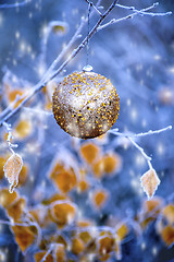 Image showing New Year's ball hanging on a branch of a Christmas tree in the forest
