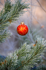 Image showing New Year's ball hanging on a branch of a Christmas tree in the forest