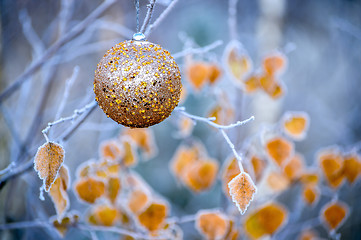 Image showing New Year's ball hanging on a branch of a Christmas tree in the forest