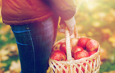 Image showing close up of woman with apples in basket at autumn