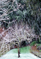 Image showing Winter snow season.