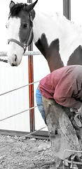 Image showing Male farrier.