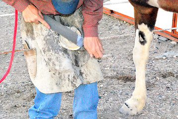 Image showing Male farrier.