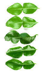 Image showing Kaffir Lime Leafs