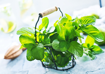 Image showing ingredients for mojito