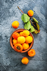 Image showing fresh apricots