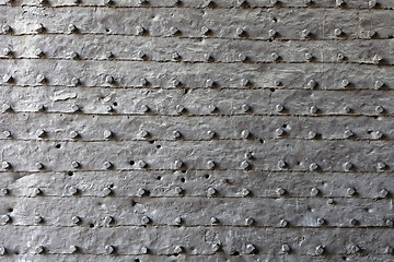 Image showing Armored Metal Pattern