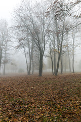 Image showing Photo autumn park